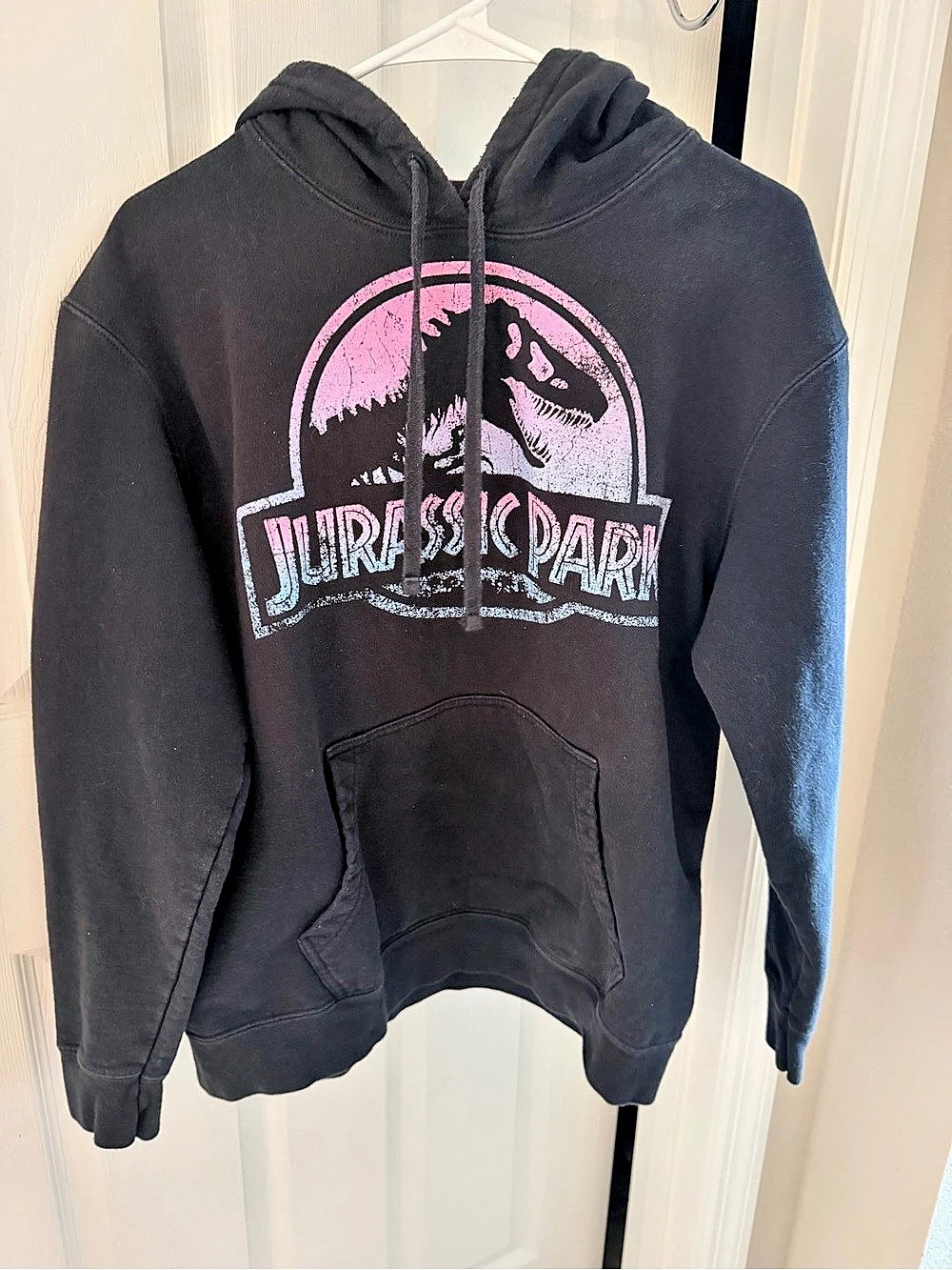 Men's Jurassic Park Ombre Fade Logo Pull Over Hoodie Size Large - Picture 2 of 5